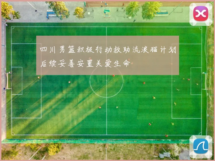 四川男篮积极行动救助流浪猫计划后续妥善安置关爱生命