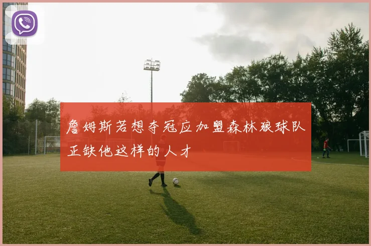 詹姆斯若想夺冠应加盟森林狼球队正缺他这样的人才